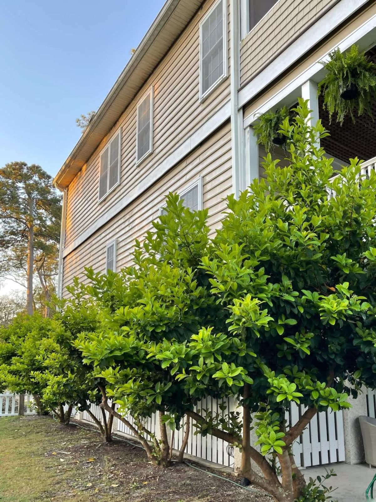 Holiday home Large And 2 Airstream Glampers & Midway To Tybee & Downtown With Fast Wifi And More! *